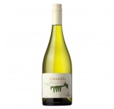 Corralillo Sauvignon Blanc 2013