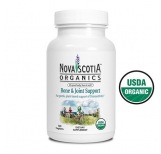 Bone and Joint Support