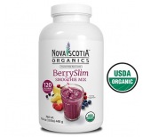 BerrySlim Smoothie Mix