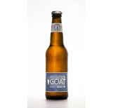 Steam Ale
