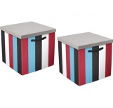 Knight Storage boxes