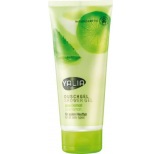 Duschgel Aloe-Lemon