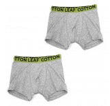Boy's Organic Boxer Briefs Grey