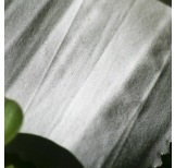 100% Organic Cotton Poplin