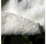 100% Organic Cotton Towelling