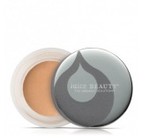 PHYTO-PIGMENTS Perfecting Concealer