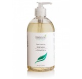 Harmony Herbal Blend Organic Shampoo