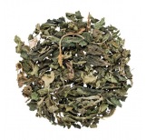 Stinging Nettle Leaves