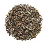 Spirit of Sunderpani BIO