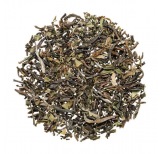 Darjeeling FTGFOP1 Steinthal FF