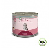 Bio-Gans
