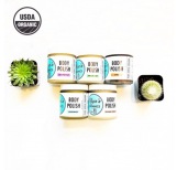Organic Body Polish